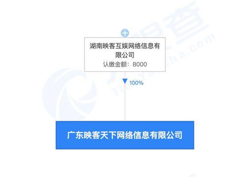 映客廣東新業(yè)務(wù)布局 房地產(chǎn)經(jīng)紀(jì)與區(qū)塊鏈技術(shù)并進(jìn)